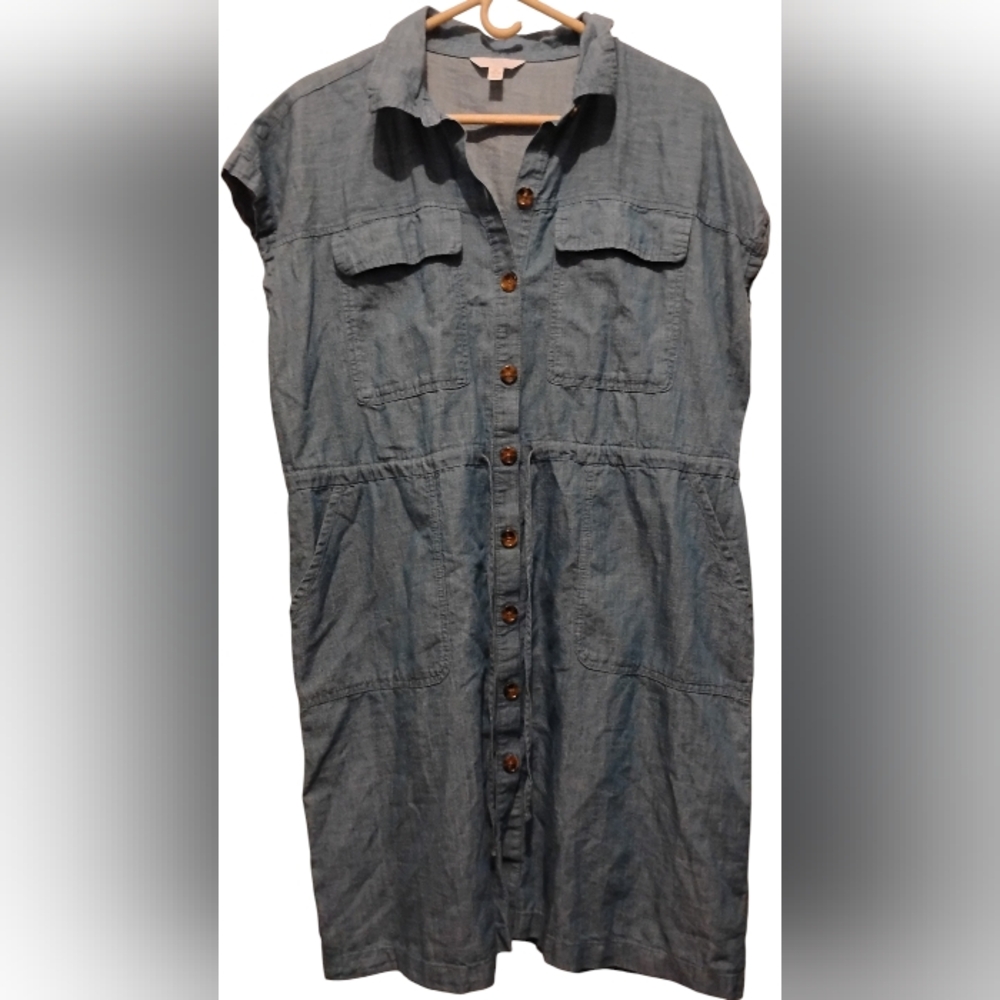 Time and Tru Light Blue Button-Front Shirt Dress